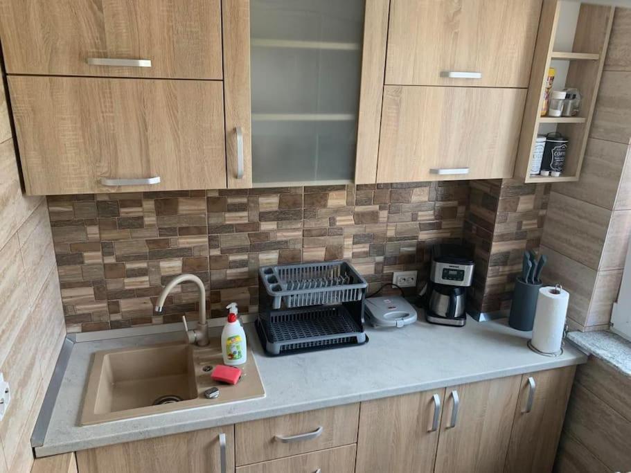 Cozy Flat Leilighet Piteşti Eksteriør bilde